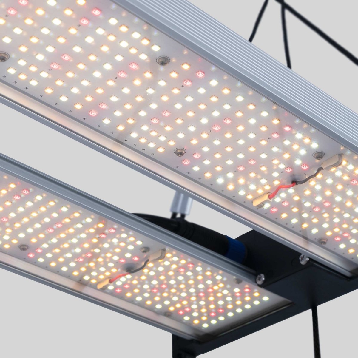 Luminaria LED de cultivo interior - 250W - Regulable 0-10V - Grow light Full Spectrum - Barcelona Led-