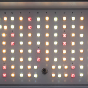 Luminaria LED de cultivo interior - 250W - Regulable 0-10V - Grow light Full Spectrum (10)