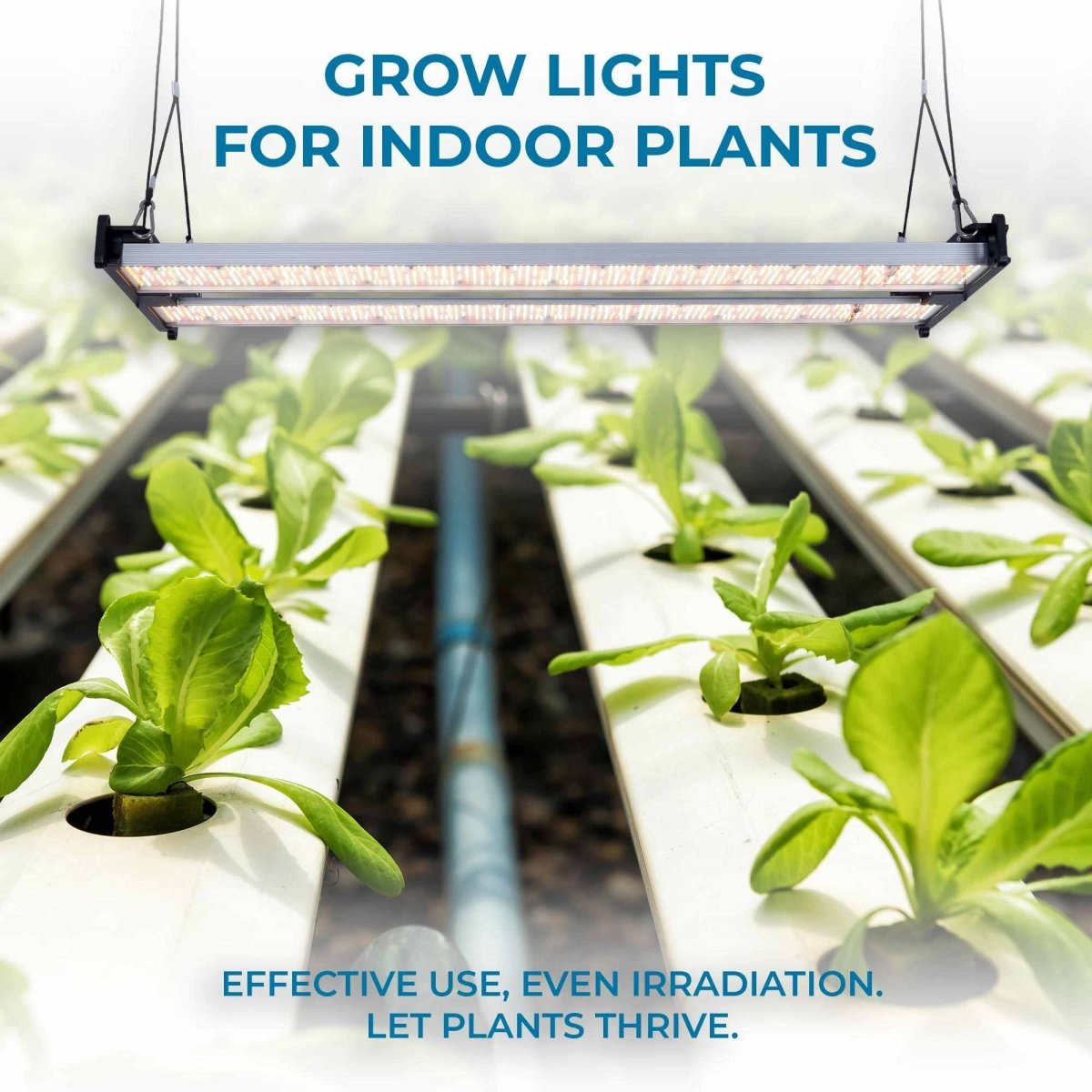 Luminaria LED de cultivo interior - 250W - Regulable 0-10V - Grow light Full Spectrum - Barcelona Led-