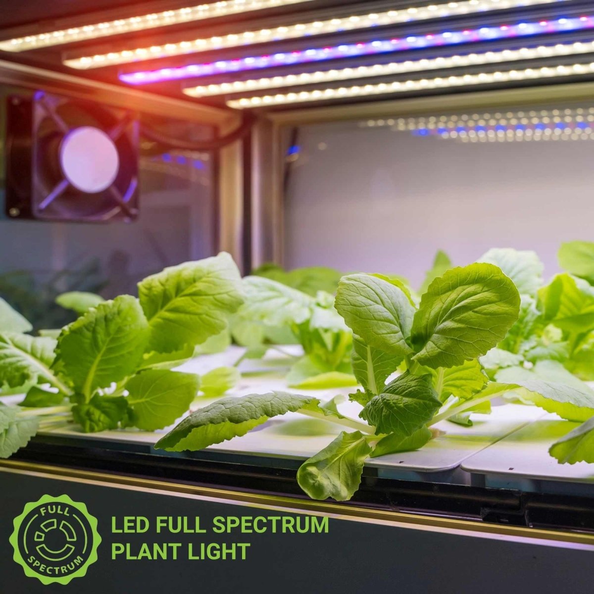 Luminaria LED de cultivo interior - 250W - Regulable 0-10V - Grow light Full Spectrum - Barcelona Led-