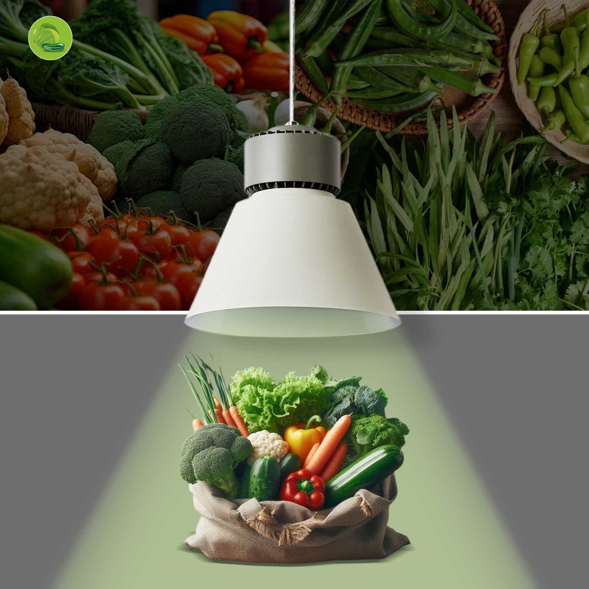Campana LED 36W especial para verdulerías - Driver KeGu - Barcelona Led-