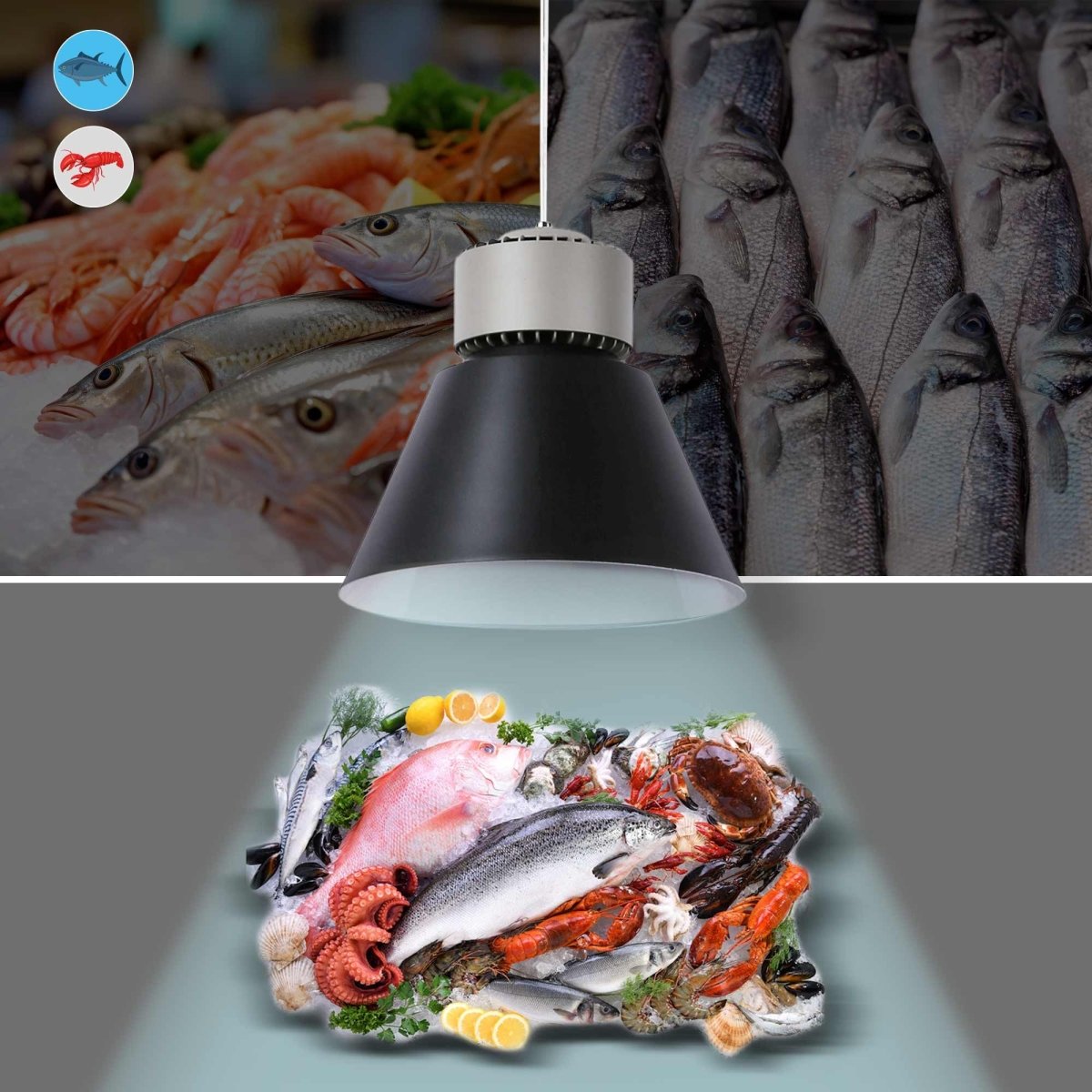 Campana LED 36W especial para pescados y mariscos - Driver KeGu - Barcelona Led-