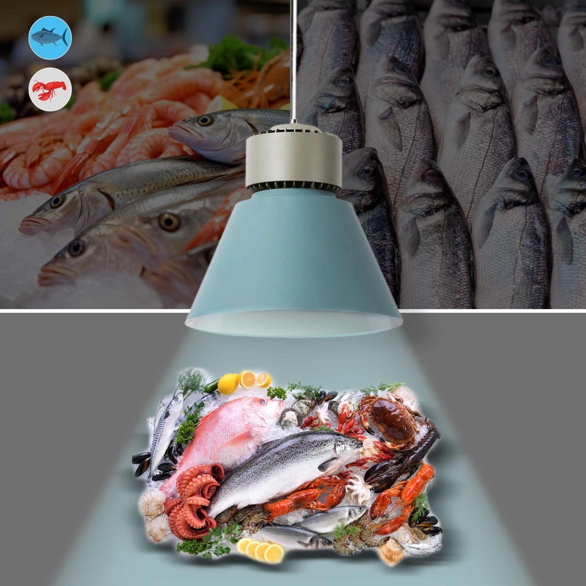 Campana LED 36W especial para pescados y mariscos - Driver KeGu - Barcelona Led-