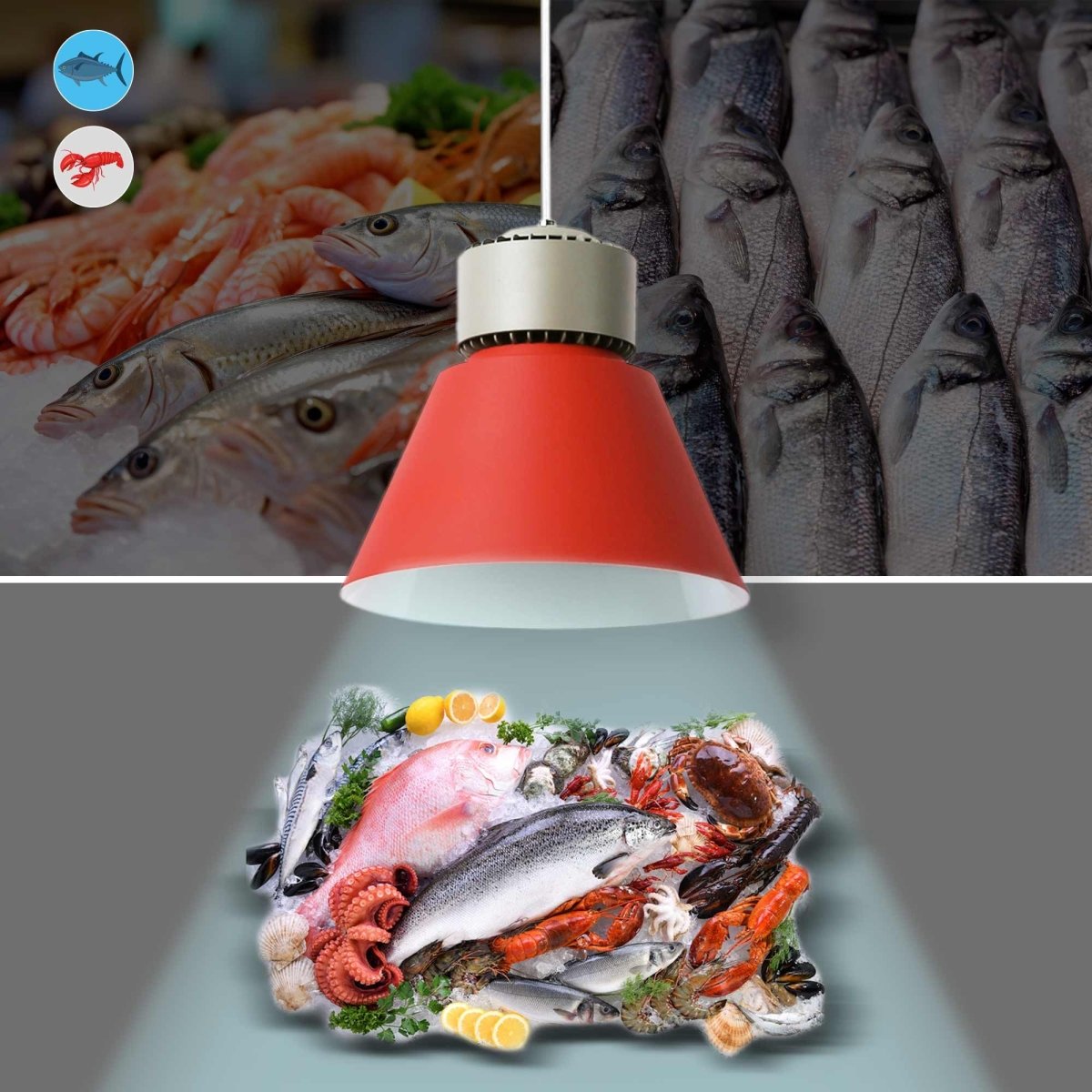 Campana LED 36W especial para pescados y mariscos - Driver KeGu - Barcelona Led-