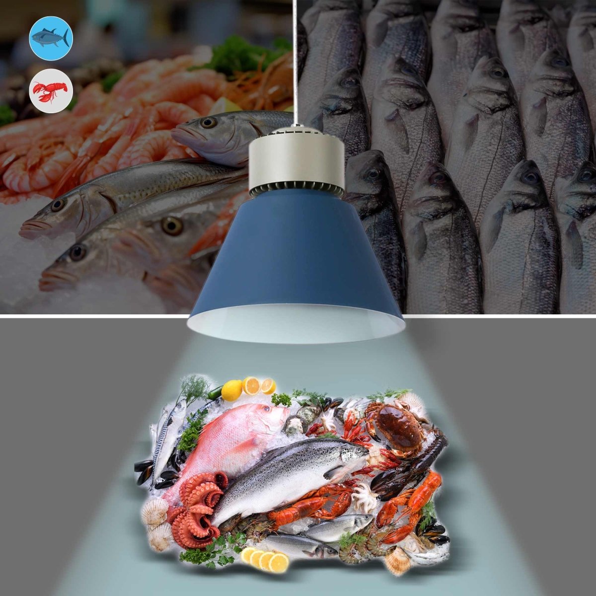 Campana LED 36W especial para pescados y mariscos - Driver KeGu - Barcelona Led-