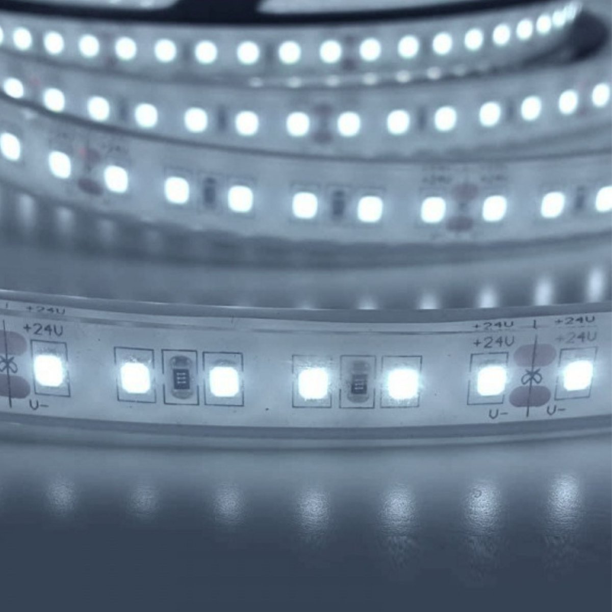 Tira LED 24V DC - Monocolor - 18W/m - 12mm - IP67 - 5 metros - 120ch/m - Barcelona Led-