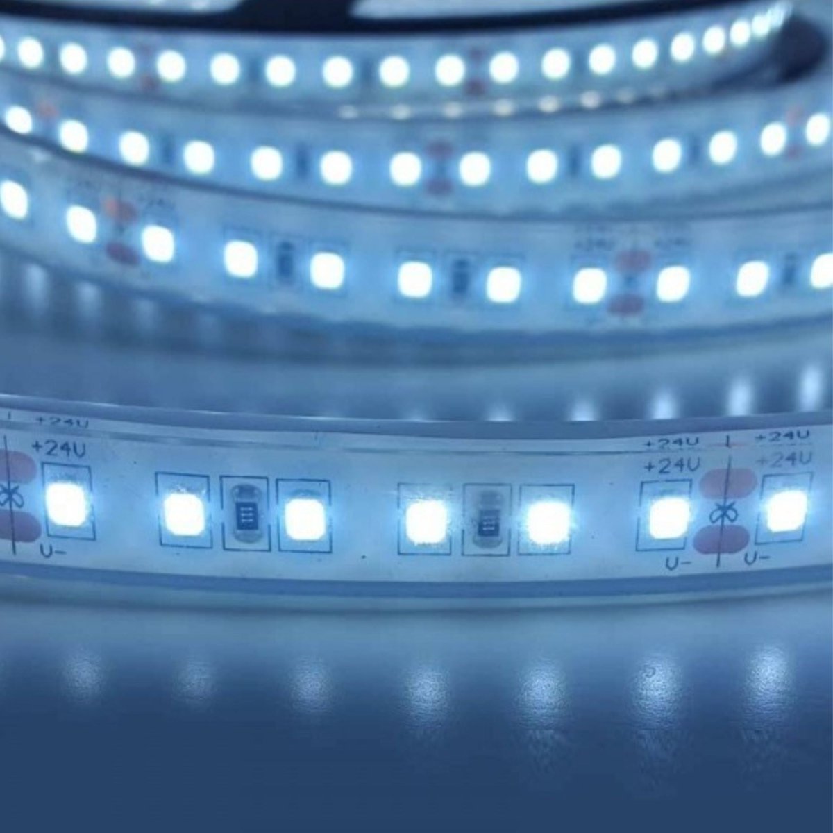 Tira LED 24V DC - Monocolor - 18W/m - 12mm - IP67 - 5 metros - 120ch/m - Barcelona Led-