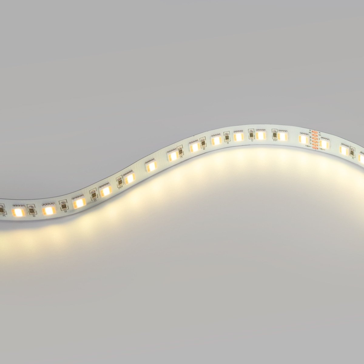 Tira LED 48V DC - RGB + CCT - 15W/m - 12mm - IP20 - 20 metros - 90ch/m - Barcelona Led-