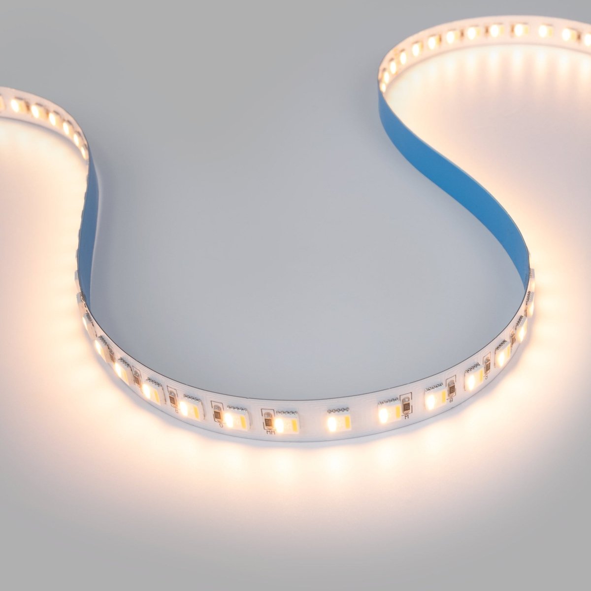 Tira LED 48V DC - RGB + CCT - 15W/m - 12mm - IP20 - 20 metros - 90ch/m - Barcelona Led-