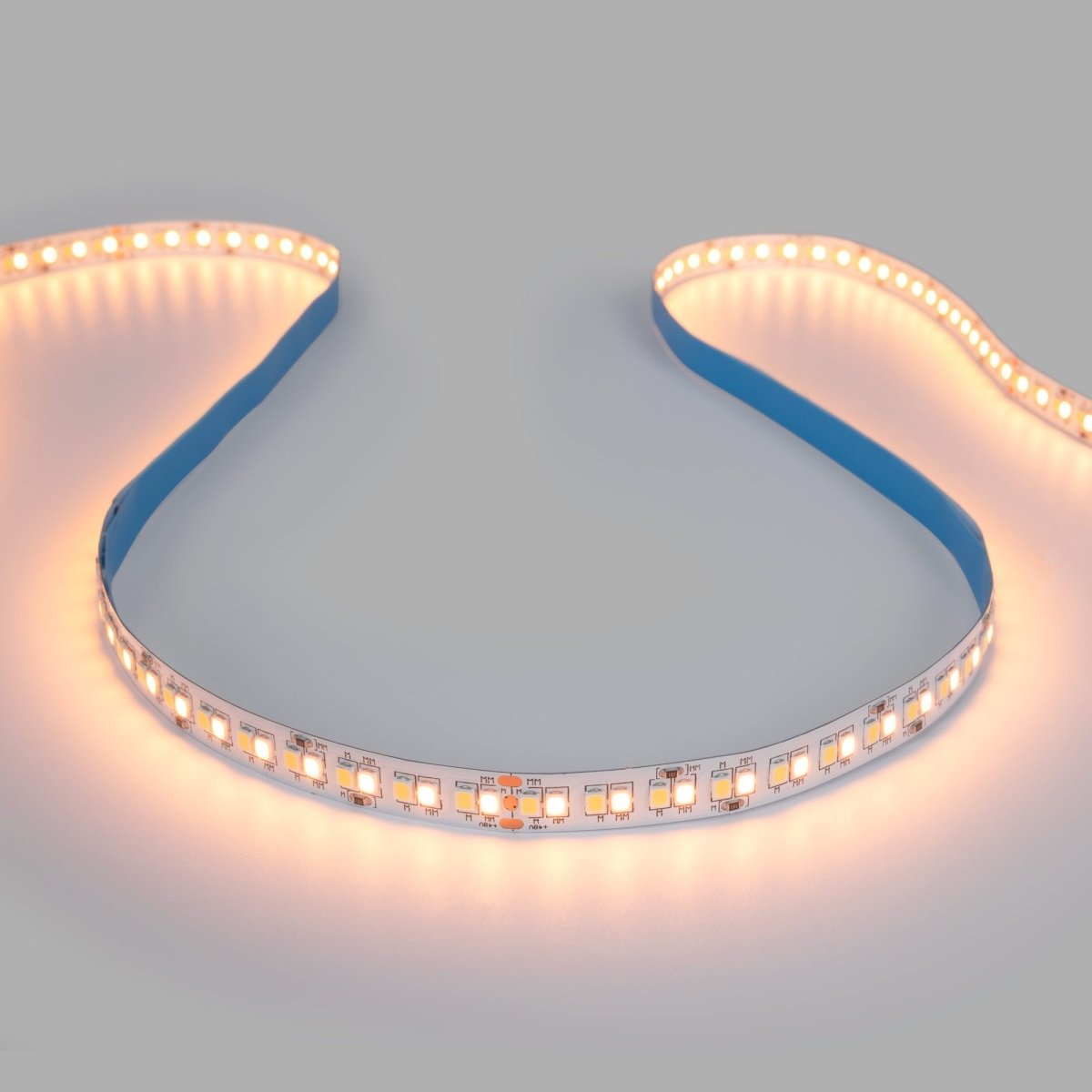 Tira LED 48V DC - CCT (1800-6500K) - 12W/m - 10mm - IP20 - 20 metros - 224ch/m - Barcelona Led-