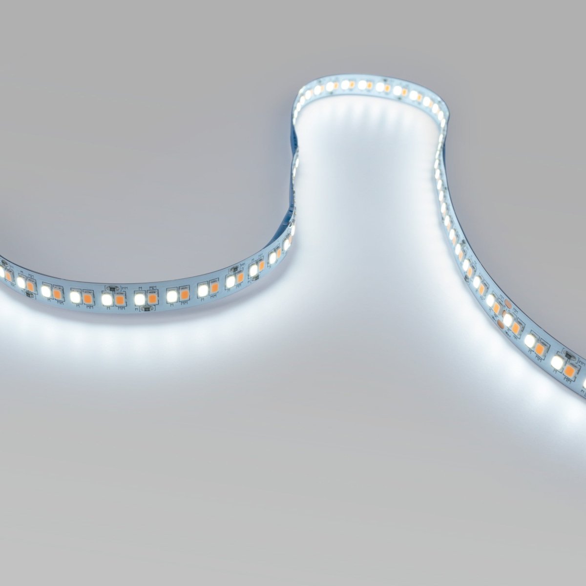 Tira LED 48V DC - CCT (1800-6500K)- 12W/m - 10mm - IP20 - 10 metros - 224ch/m - Barcelona Led-