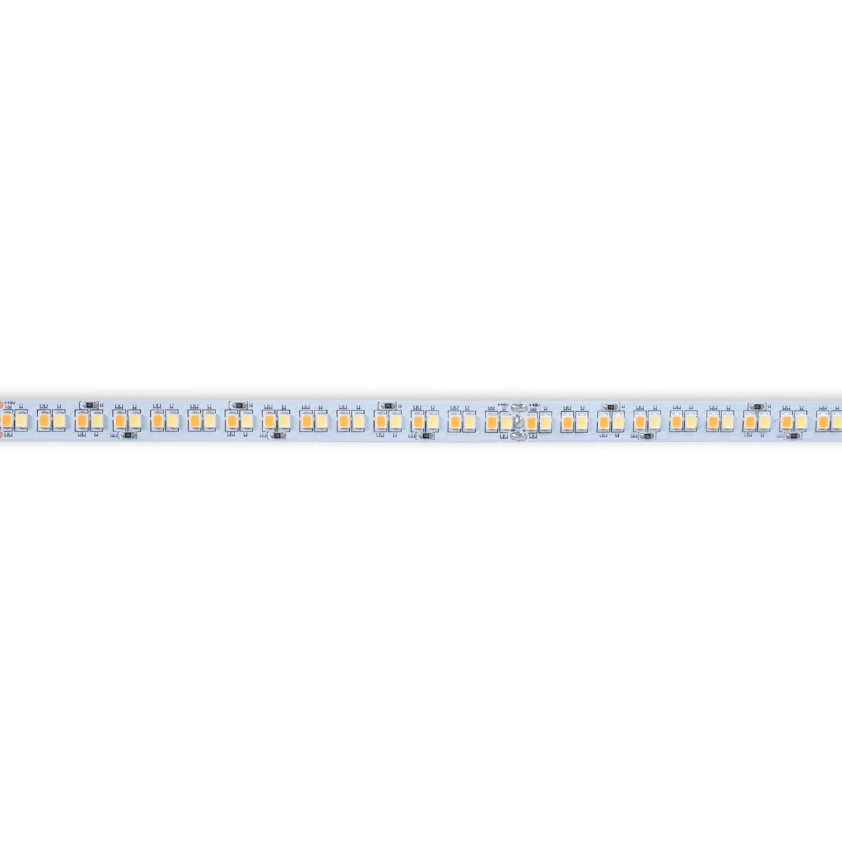 Tira LED 48V DC - CCT (1800-6500K)- 12W/m - 10mm - IP20 - 10 metros - 224ch/m - Barcelona Led-