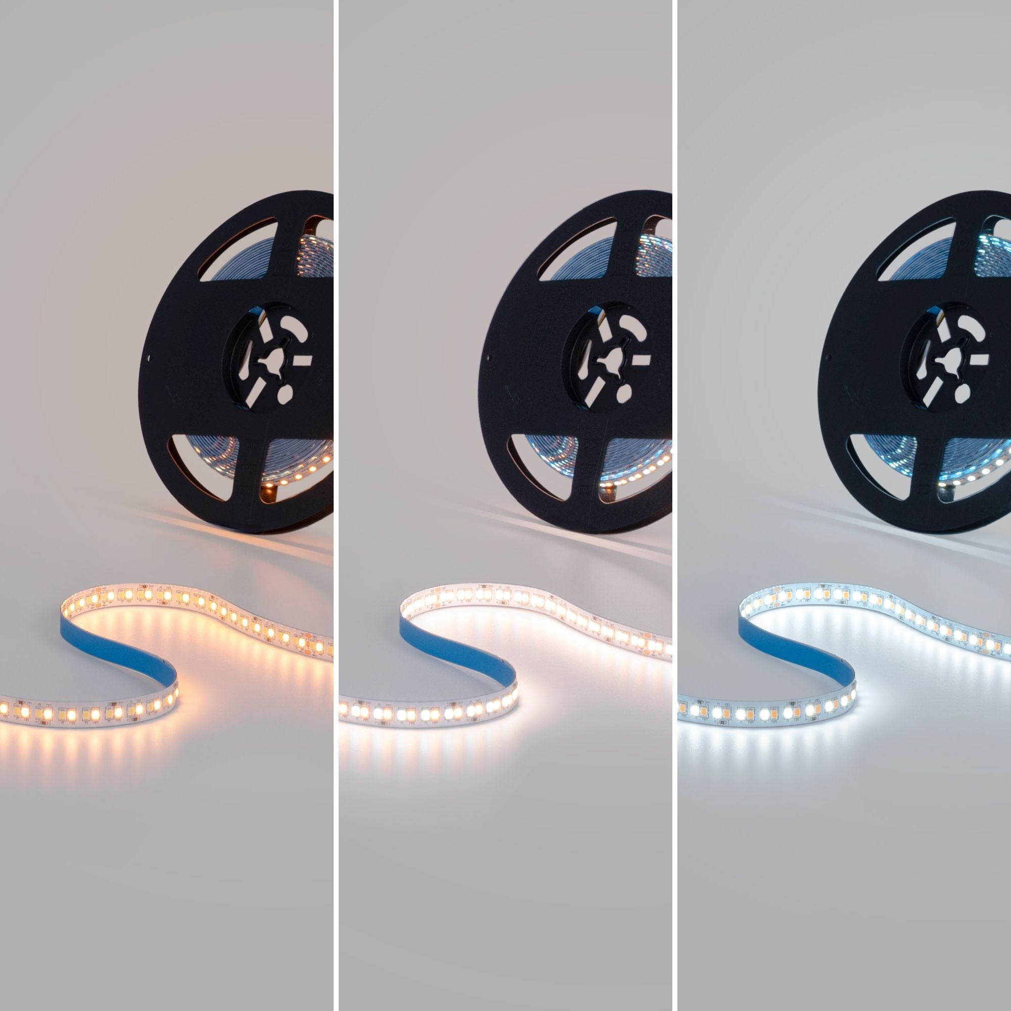 Tira LED 48V DC - CCT (1800-6500K)- 12W/m - 10mm - IP20 - 10 metros - 224ch/m (21)