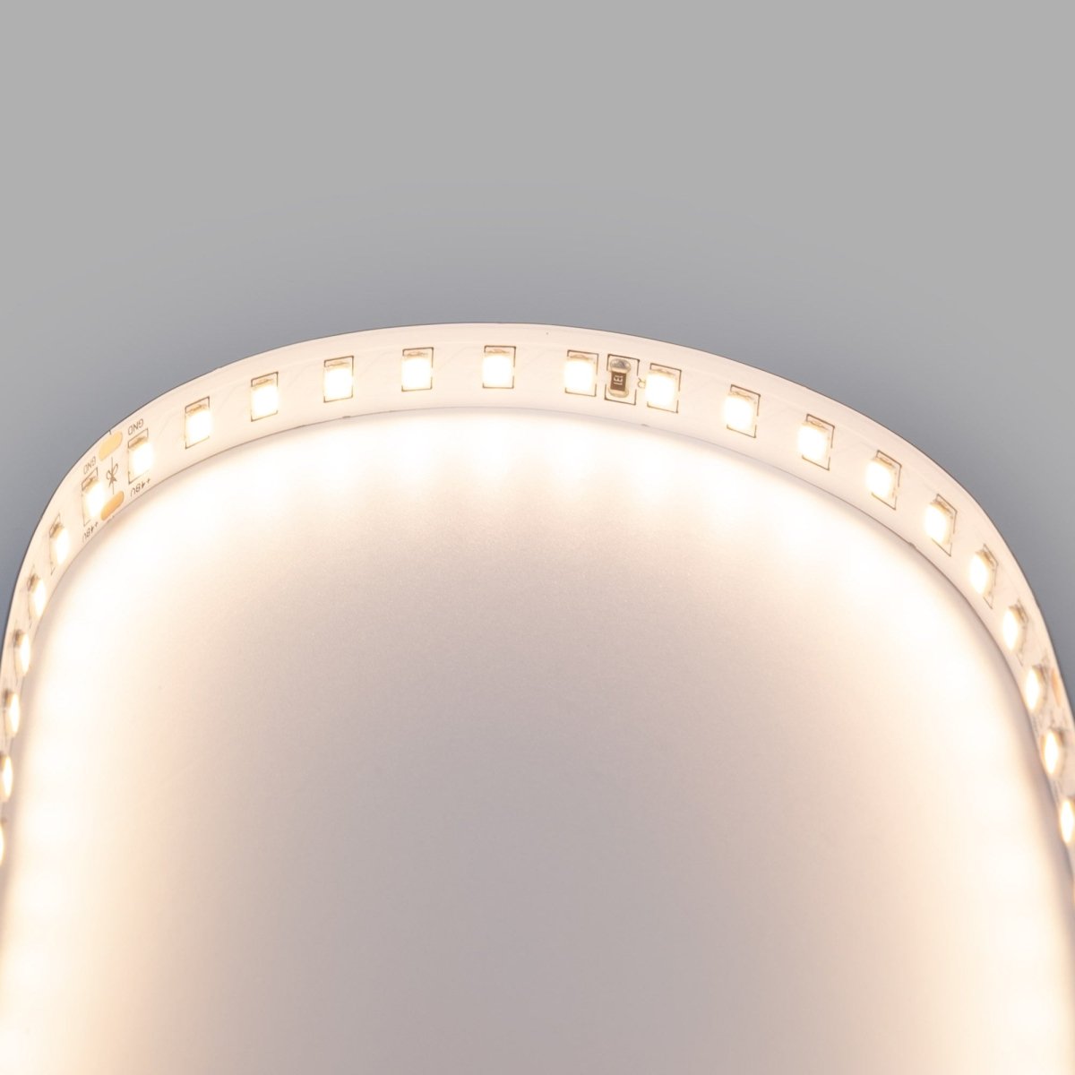 Tira LED 48V DC - Monocolor - 12W/m - 10mm - IP20 - 10 metros - 120ch/m - Barcelona Led-