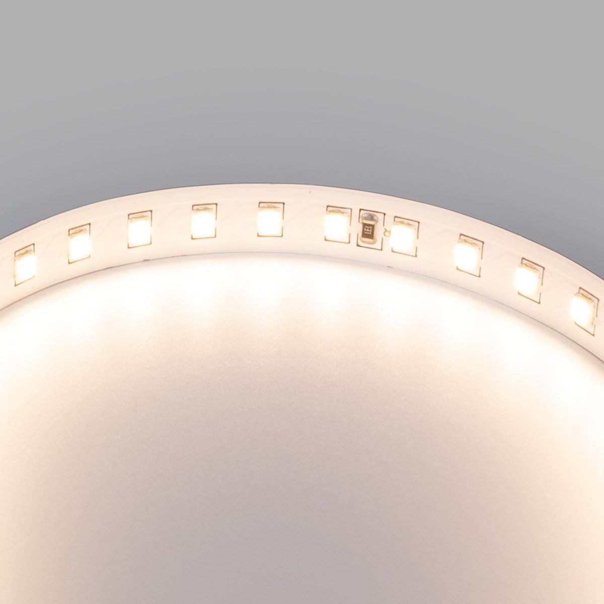 Tira LED 48V DC - Monocolor - 12W/m - 10mm - IP20 - 10 metros - 120ch/m - Barcelona Led-