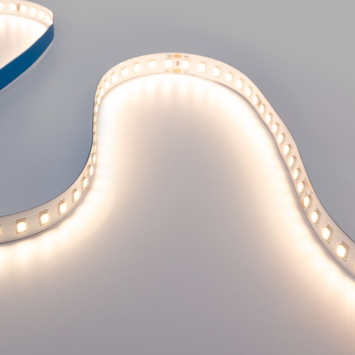 Tira LED 48V DC - Monocolor - 12W/m - 10mm - IP20 - 10 metros - 120ch/m - Barcelona Led-