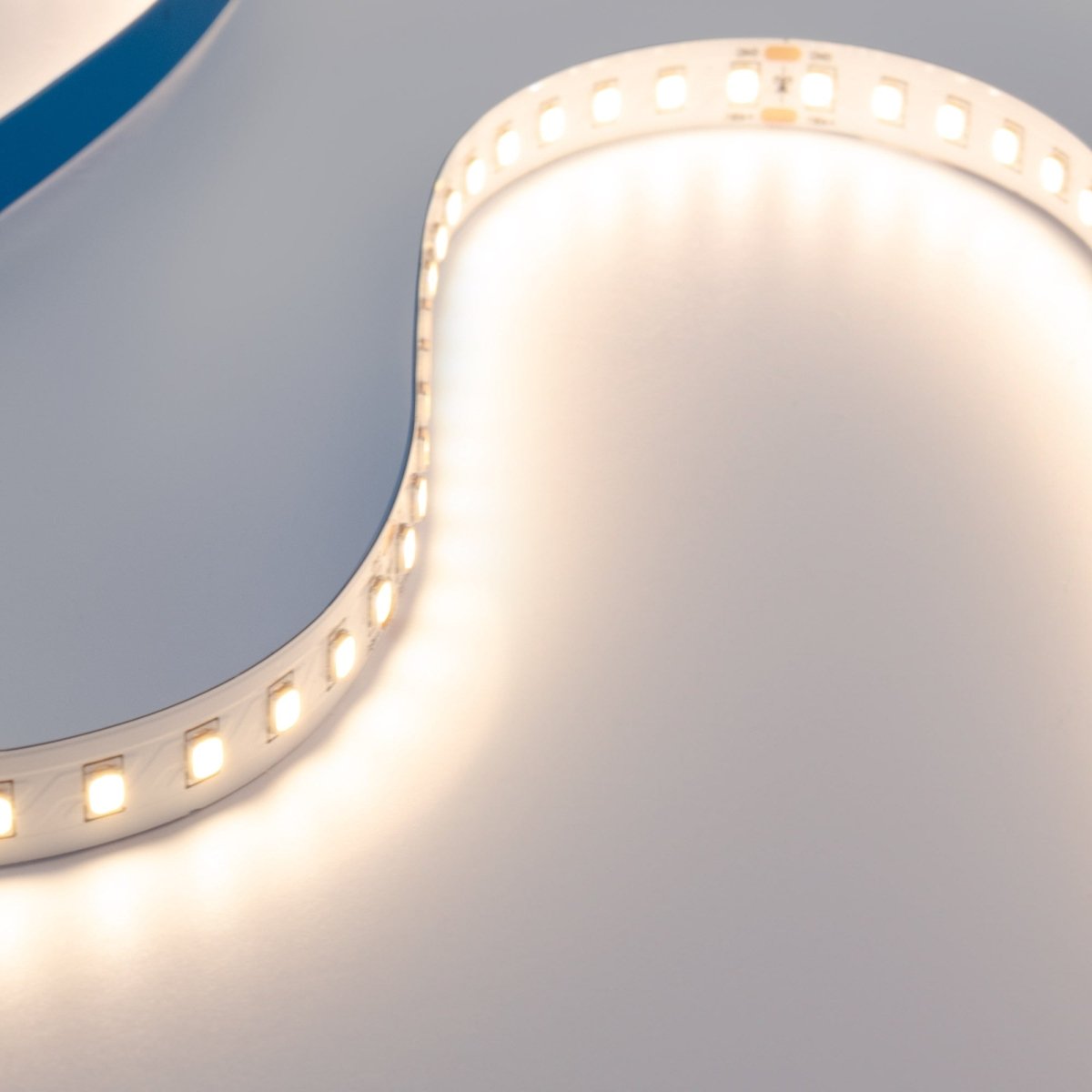 Tira LED 48V DC - Monocolor - 12W/m - 10mm - IP20 - 10 metros - 120ch/m - Barcelona Led-
