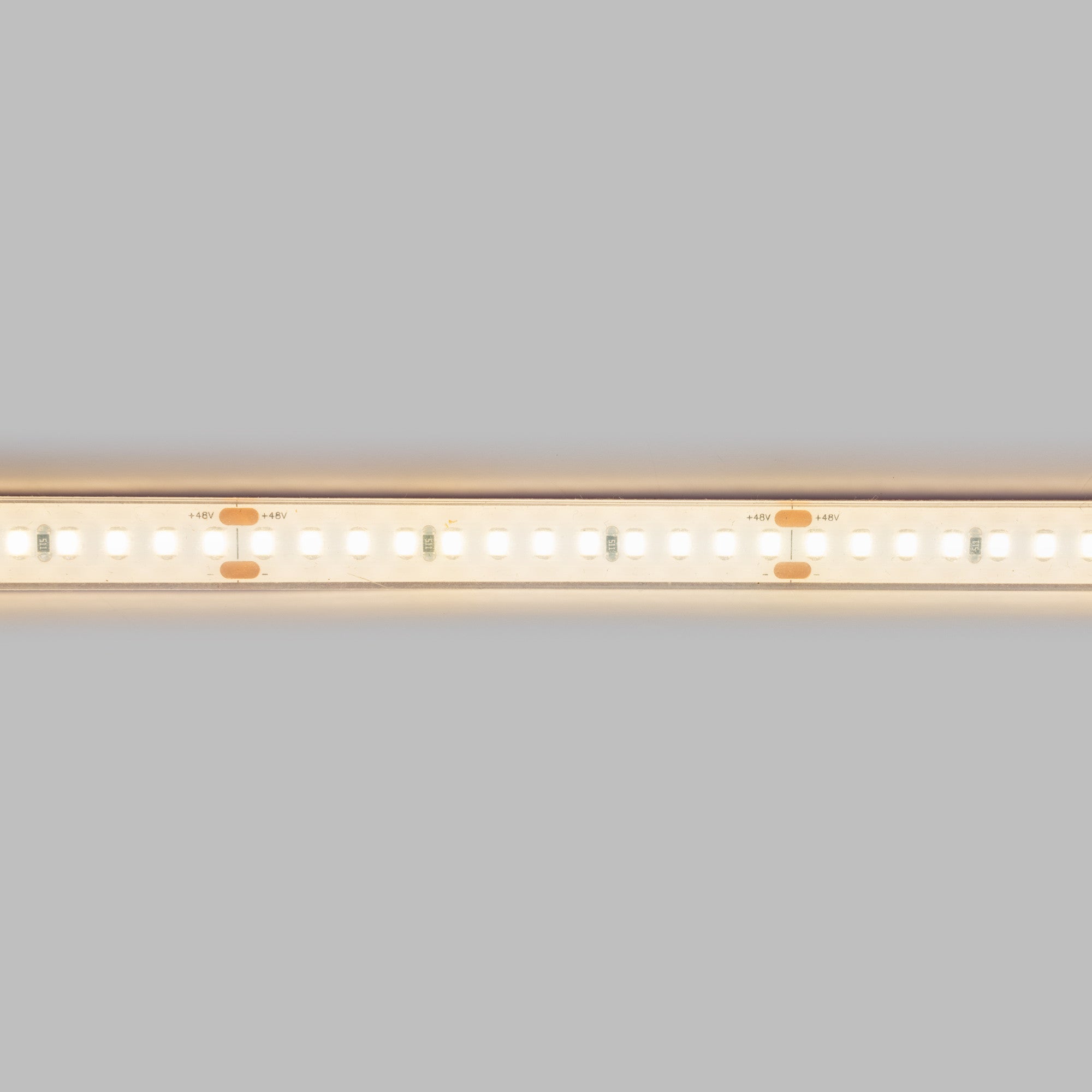 Tira LED 48V DC sumergible - Monocolor - 9.6W/m - 12mm - IP68 - 20 metros - 168ch/m (12)