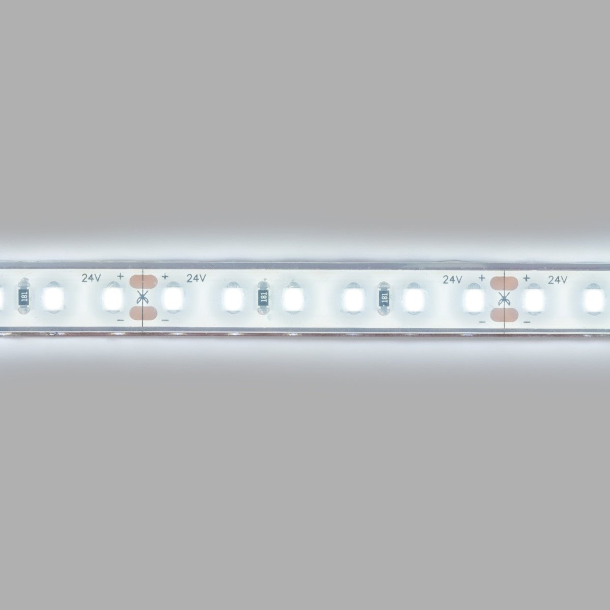 Tira LED 24V DC sumergible - Monocolor - 9.6W/m - 10mm - IP68 - 5 metros - 120ch/m - Barcelona Led-