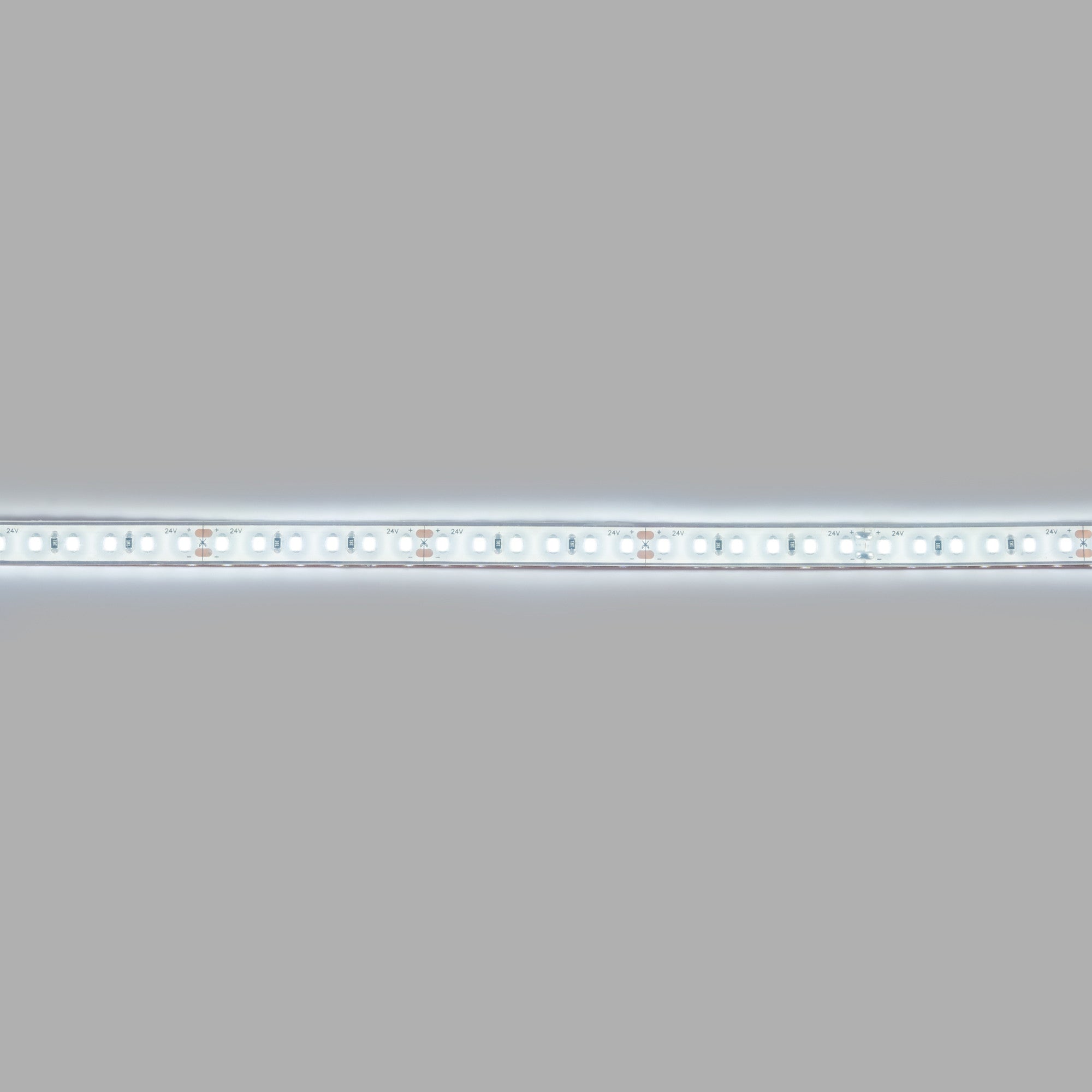 Tira LED 24V DC sumergible - Monocolor - 9.6W/m - 10mm - IP68 - 5 metros - 120ch/m (16)