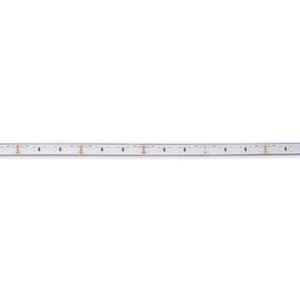 Tira LED 24V DC sumergible - Monocolor - 9.6W/m - 10mm - IP68 - 5 metros - 120ch/m (17)