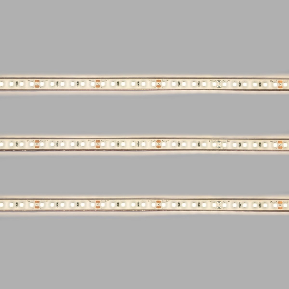 Tira LED 24V DC sumergible - Monocolor - 9.6W/m - 10mm - IP68 - 5 metros - 120ch/m - Barcelona Led-