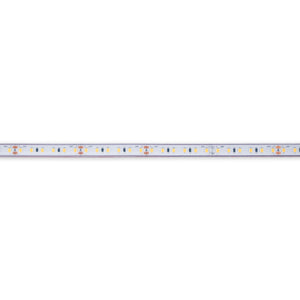 Tira LED 24V DC sumergible - Monocolor - 9.6W/m - 10mm - IP68 - 5 metros - 120ch/m (25)