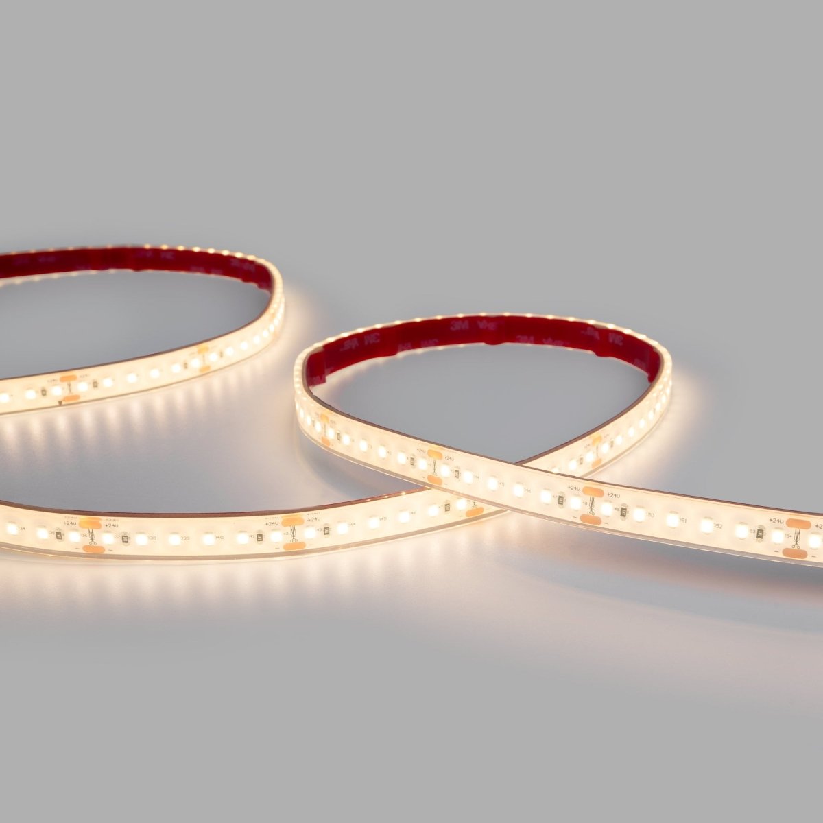 Tira LED 24V DC sumergible - Monocolor - 9.6W/m - 12mm - IP68 - 10 metros - 120ch/m - Barcelona Led-