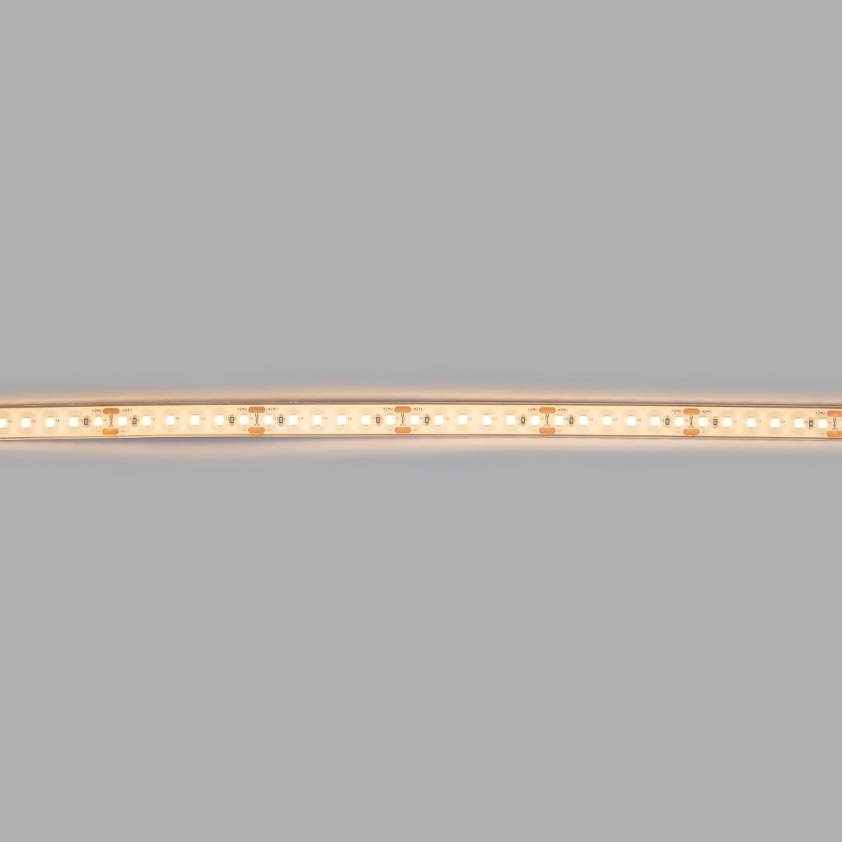 Tira LED 24V DC sumergible - Monocolor - 9.6W/m - 12mm - IP68 - 10 metros - 120ch/m - Barcelona Led-