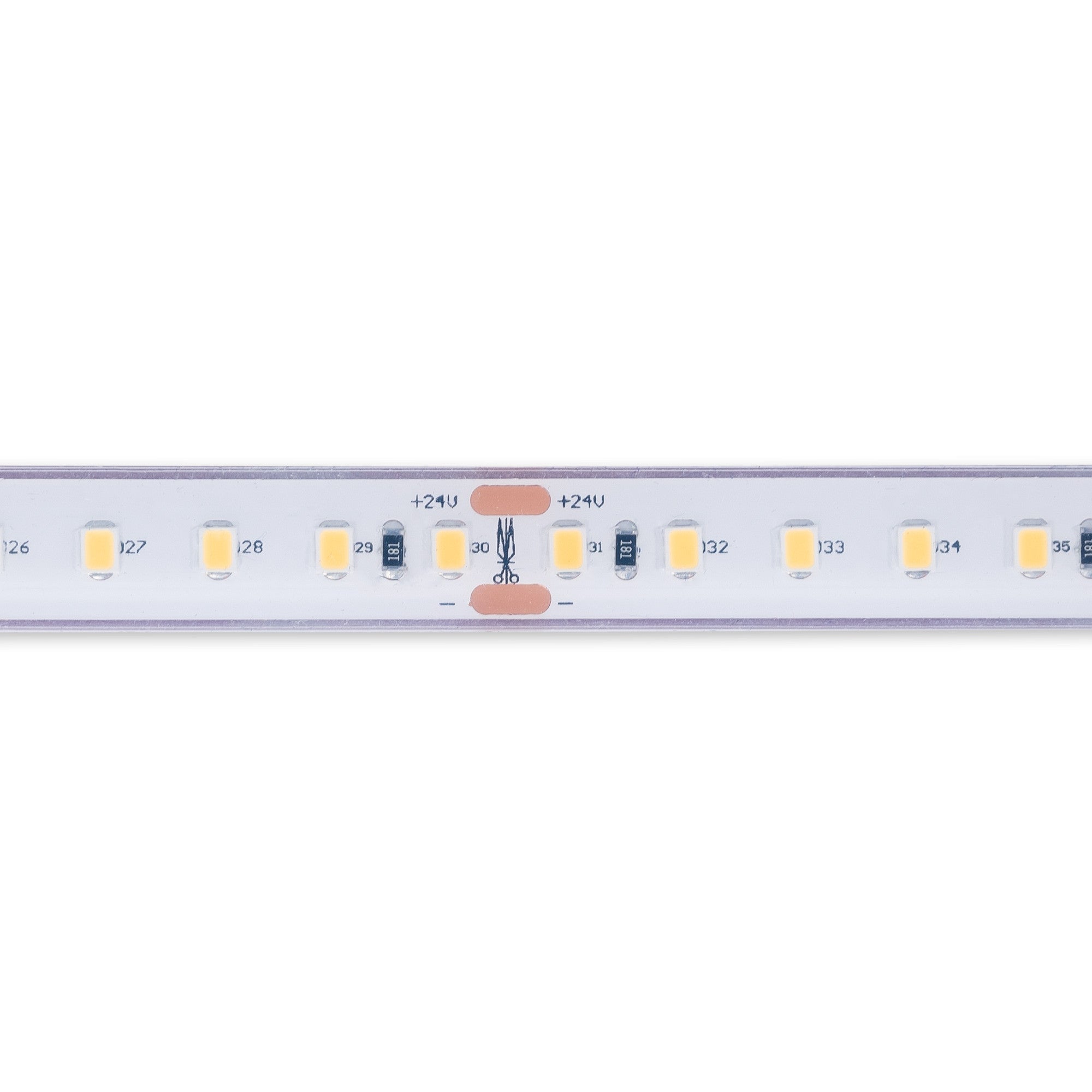 Tira LED 24V DC sumergible - Monocolor - 9.6W/m - 12mm - IP68 - 10 metros - 120ch/m (20)