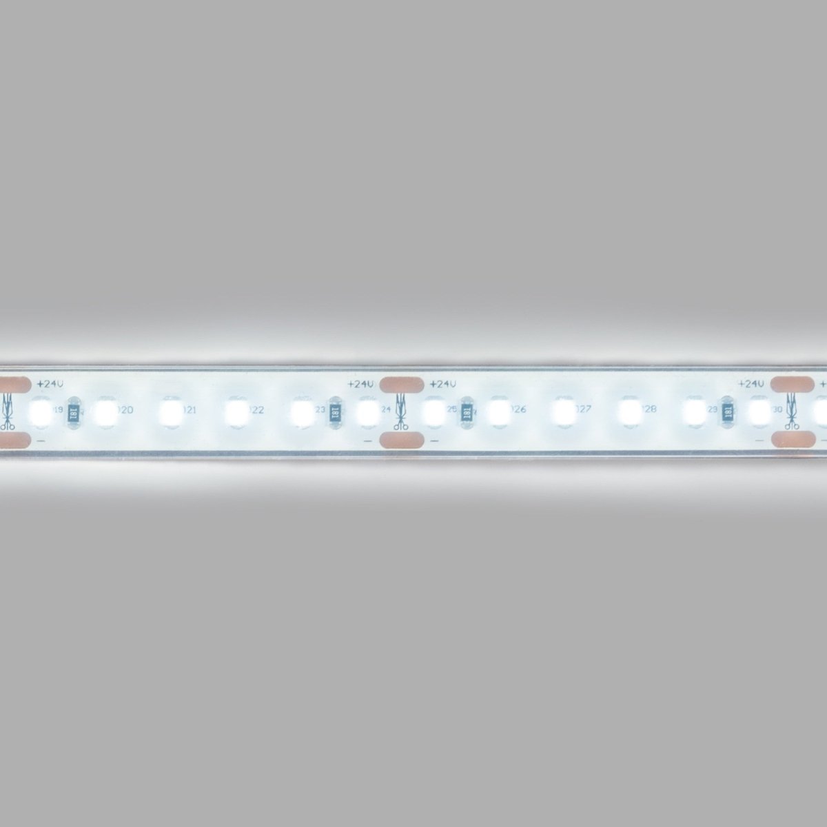 Tira LED 24V DC sumergible - Monocolor - 9.6W/m - 12mm - IP68 - 10 metros - 120ch/m - Barcelona Led-