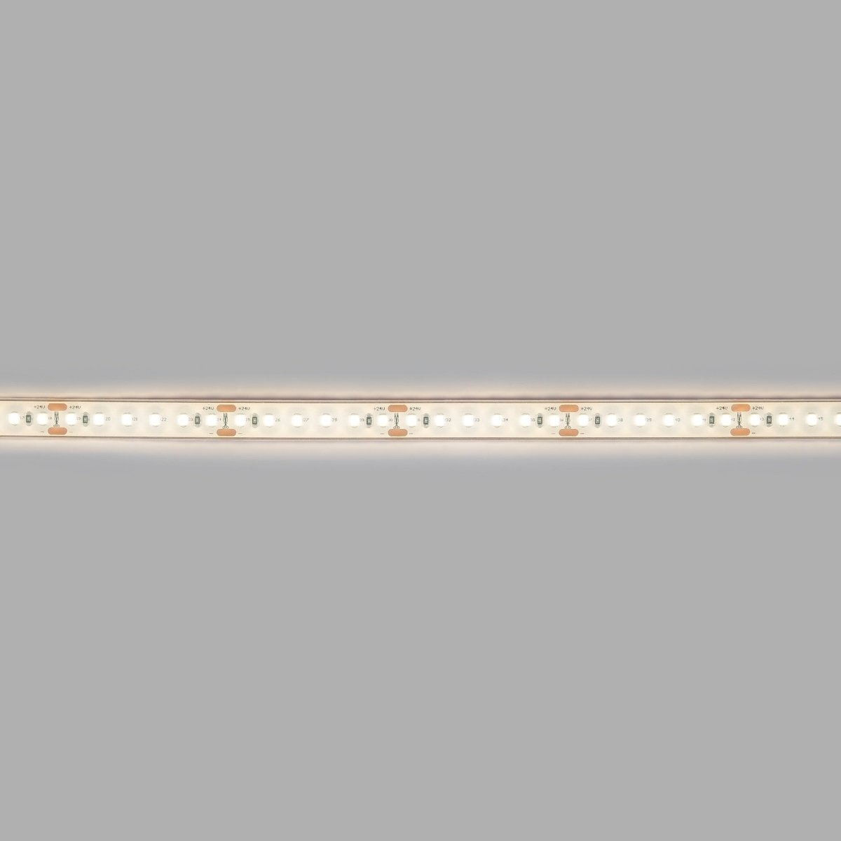 Tira LED 24V DC sumergible - Monocolor - 9.6W/m - 12mm - IP68 - 10 metros - 120ch/m - Barcelona Led-