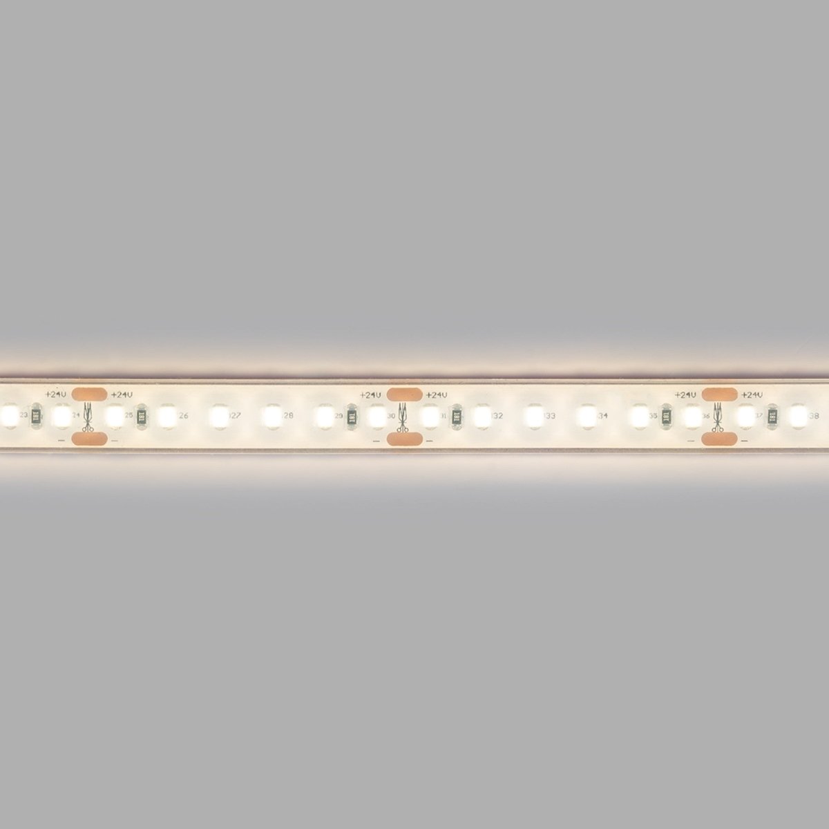 Tira LED 24V DC sumergible - Monocolor - 9.6W/m - 12mm - IP68 - 10 metros - 120ch/m - Barcelona Led-