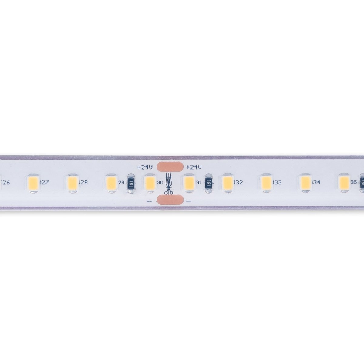 Tira LED 24V DC sumergible - Monocolor - 9.6W/m - 12mm - IP68 - 10 metros - 120ch/m - Barcelona Led-