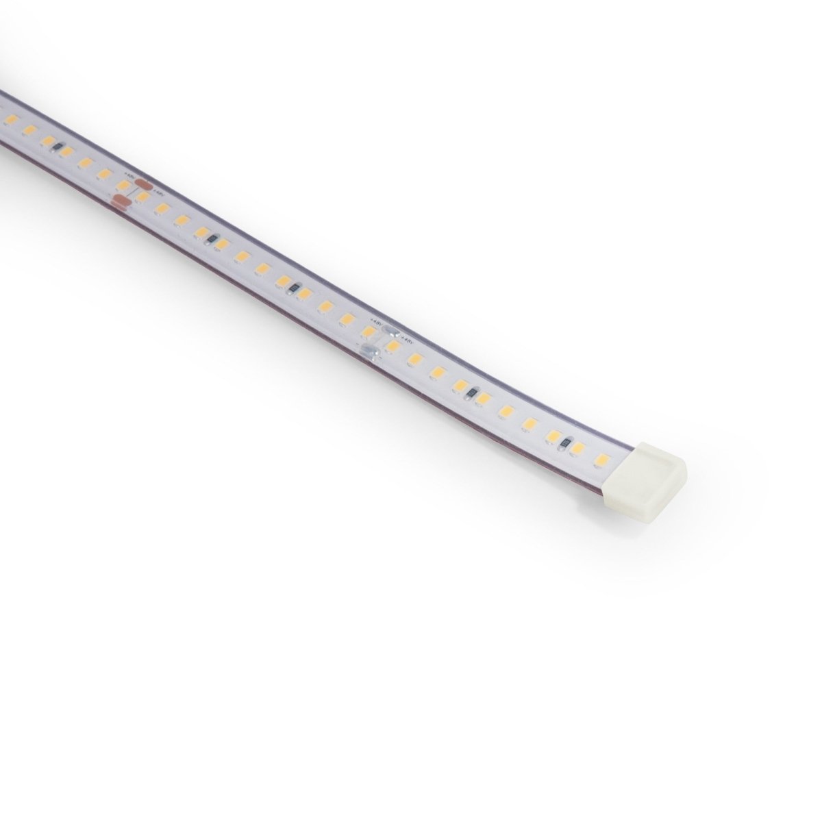 Tapa inicio/fin para tira LED sumergible con PCB 10mm - Barcelona Led-Accesorios