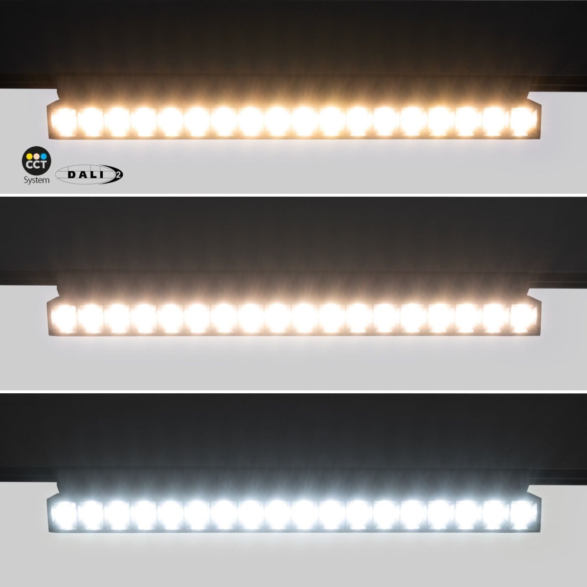 Foco lineal orientable para carril magnético 48V CCT - 18W - Regulación DALI-2 - UGR18 - Barcelona Led-