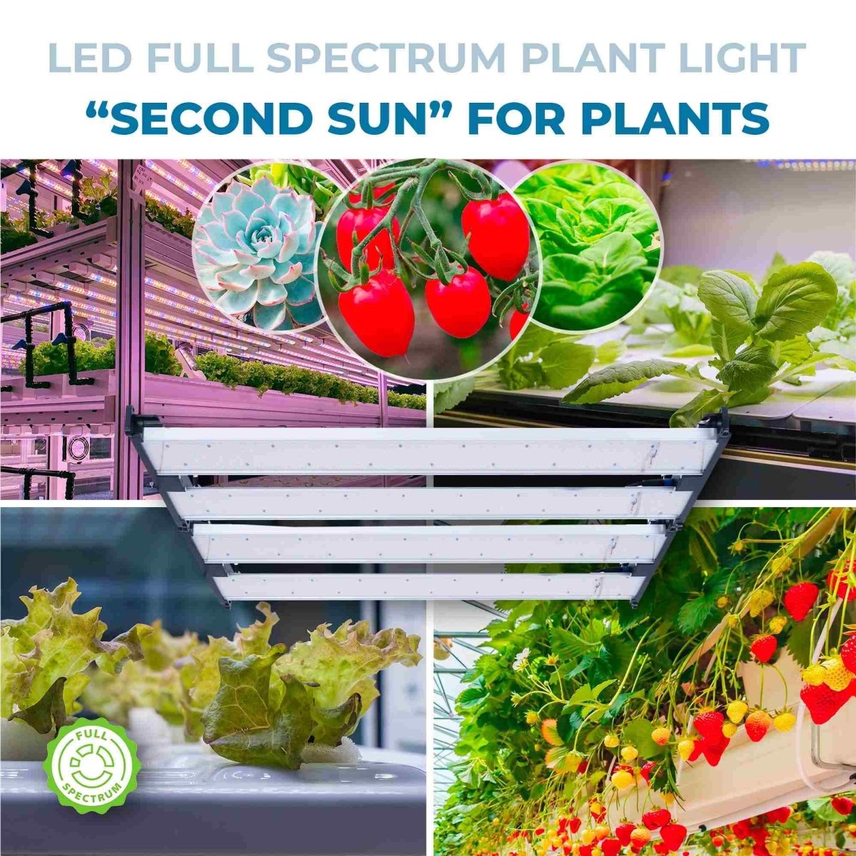 Cable de unión para luminarias de cultivo G400-250W - Barcelona Led-
