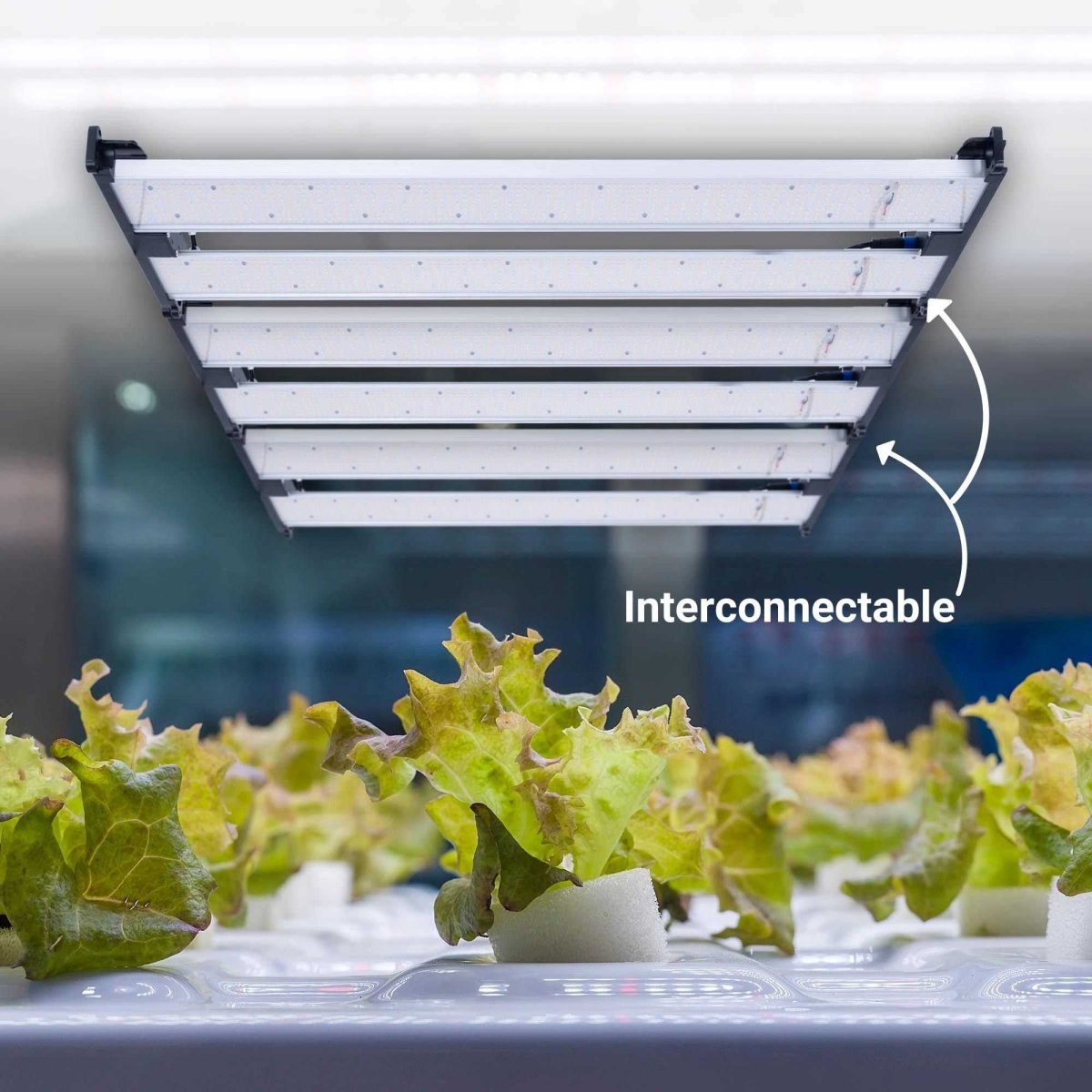 Cable de unión para luminarias de cultivo G400-250W - Barcelona Led-