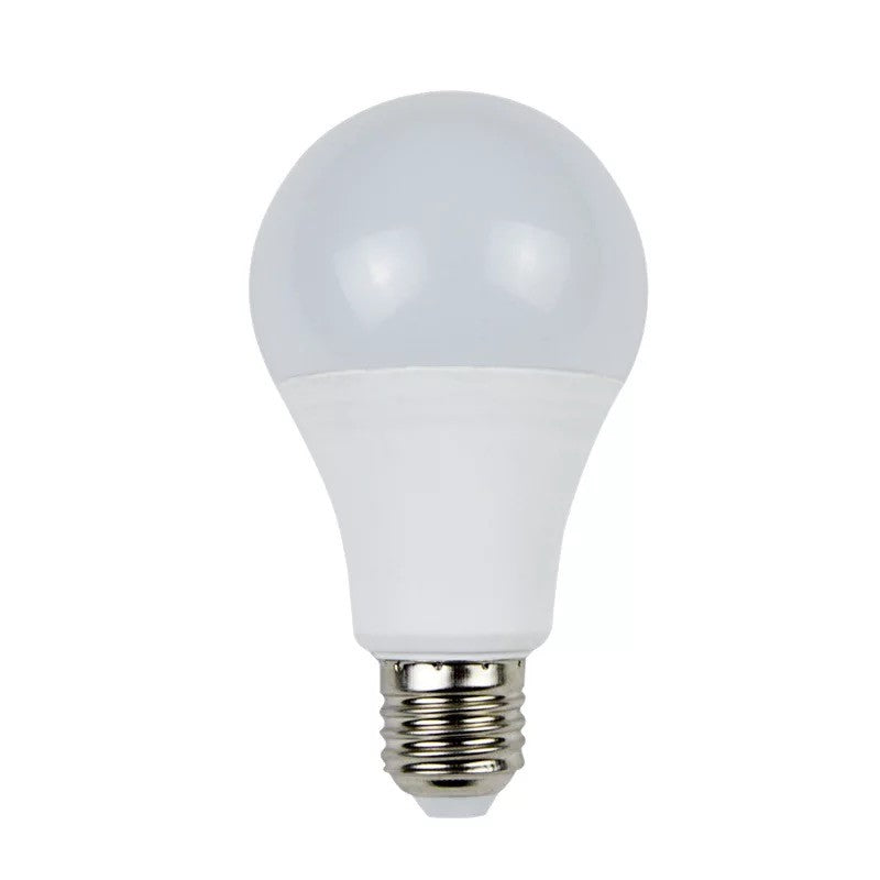 Bombilla LED E27 A65 - 14W - 1400 lm (8)