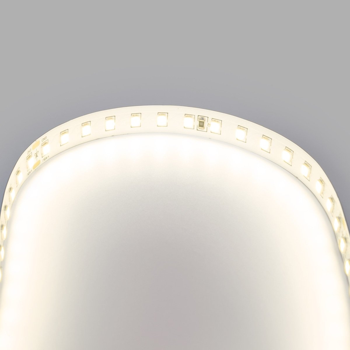 Tira LED 48V DC - Monocolor - 12W/m - 10mm - IP20 - 10 metros - 120ch/m - Barcelona Led-