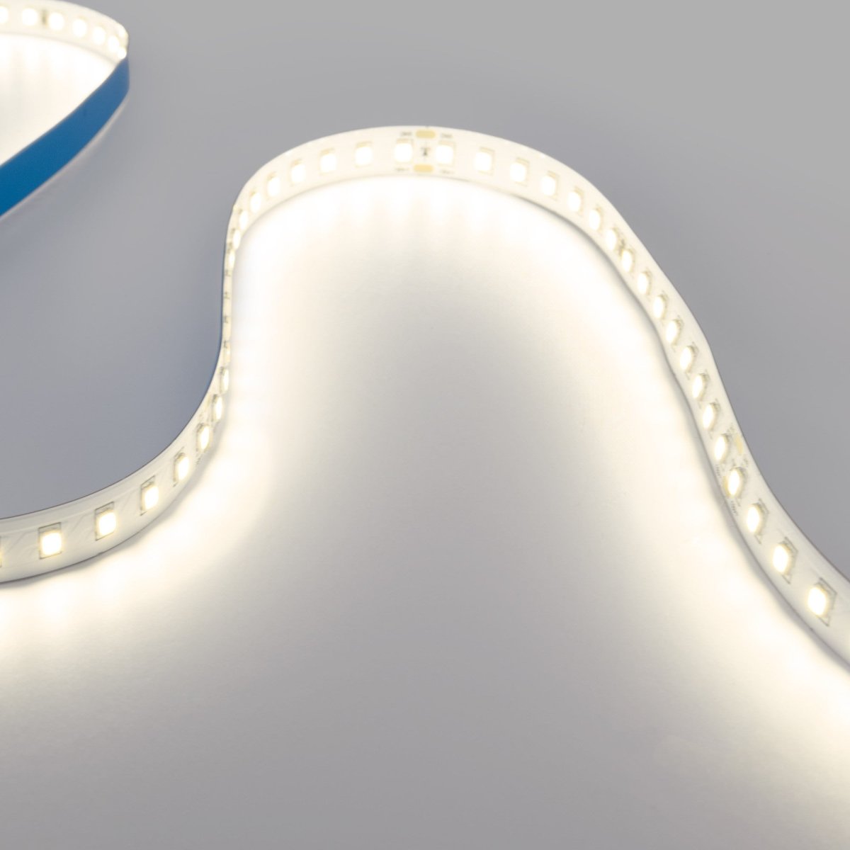 Tira LED 48V DC - Monocolor - 12W/m - 10mm - IP20 - 10 metros - 120ch/m - Barcelona Led-