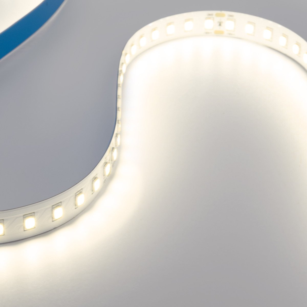 Tira LED 48V DC - Monocolor - 12W/m - 10mm - IP20 - 10 metros - 120ch/m - Barcelona Led-