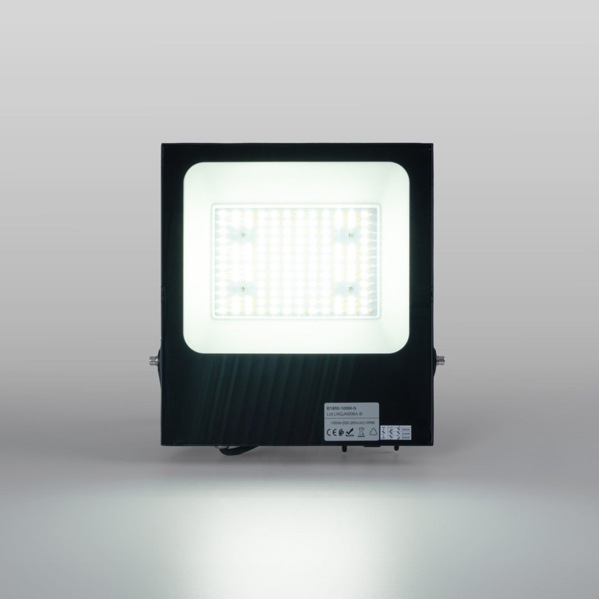 Proyector LED exterior 100W CCT - Serie "PRO" - 110lm/W - IP66 - Barcelona Led-