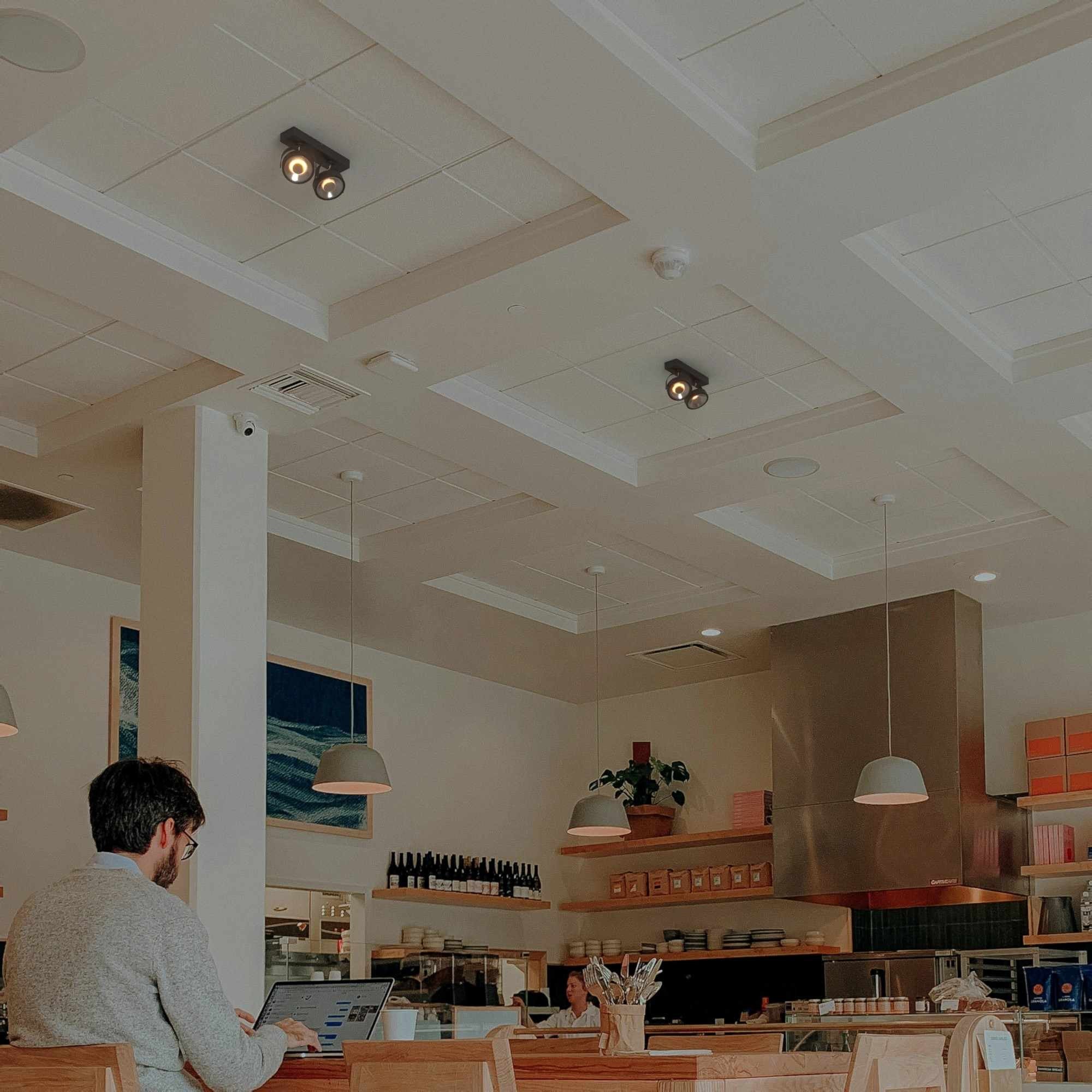 Foco de techo doble orientable "IRIS" + 2 bombillas AR111 GU10 (5)