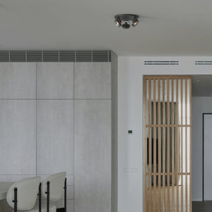 Aplique de techo triple orientable "IRIS 3" + 3 bombillas AR111 (4)