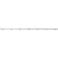Fita LED COB CCT 24V DC - Emissão lateral - 12W/m - 10mm - IP20 - Corte 5cm - Rolo de 5 metros 5