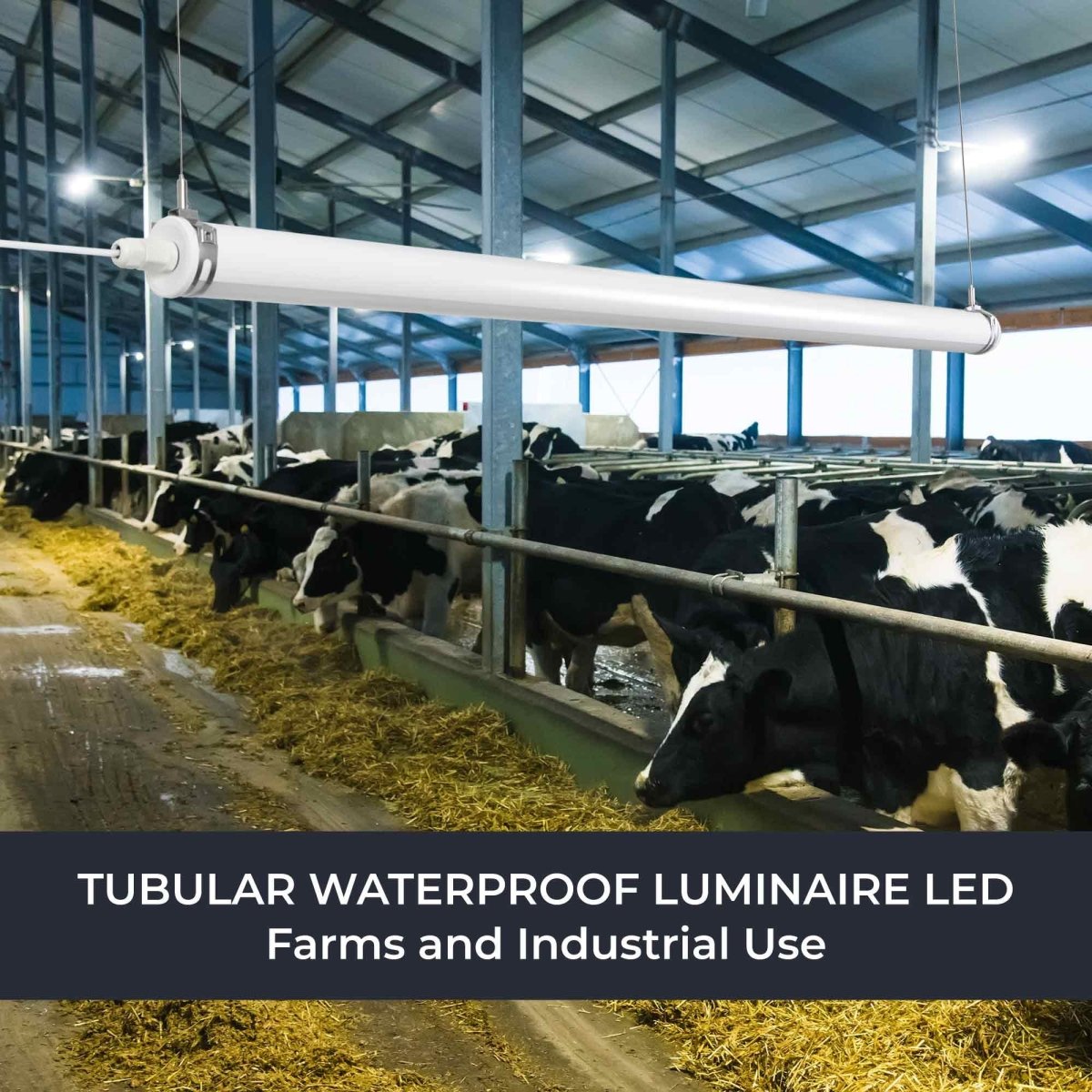 Luminaria estanca tubular para uso industrial - 150cm - 50W - 6900lm - IP65 - IK10 - Barcelona Led-