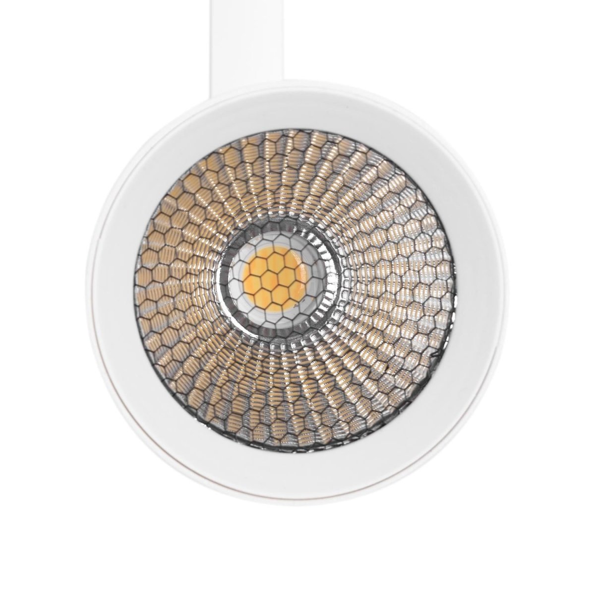 Proyector LED para carril monofásico 20W - CCT - CRI 90 - 1800 lm - Barcelona Led-