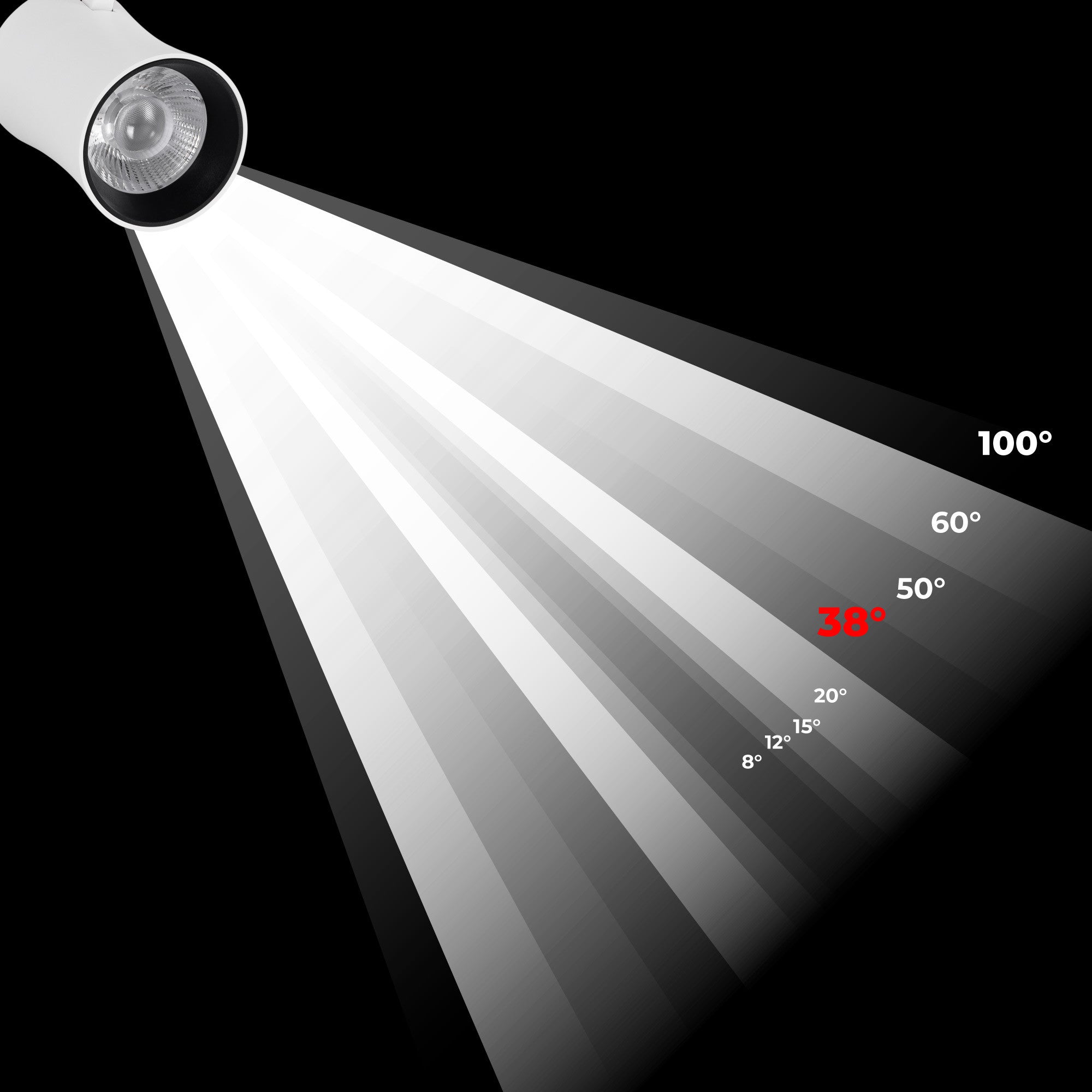 Proyector LED arquitectónico para carril trifásico CCT - 40W - CRI 90 - Driver KGP (16)