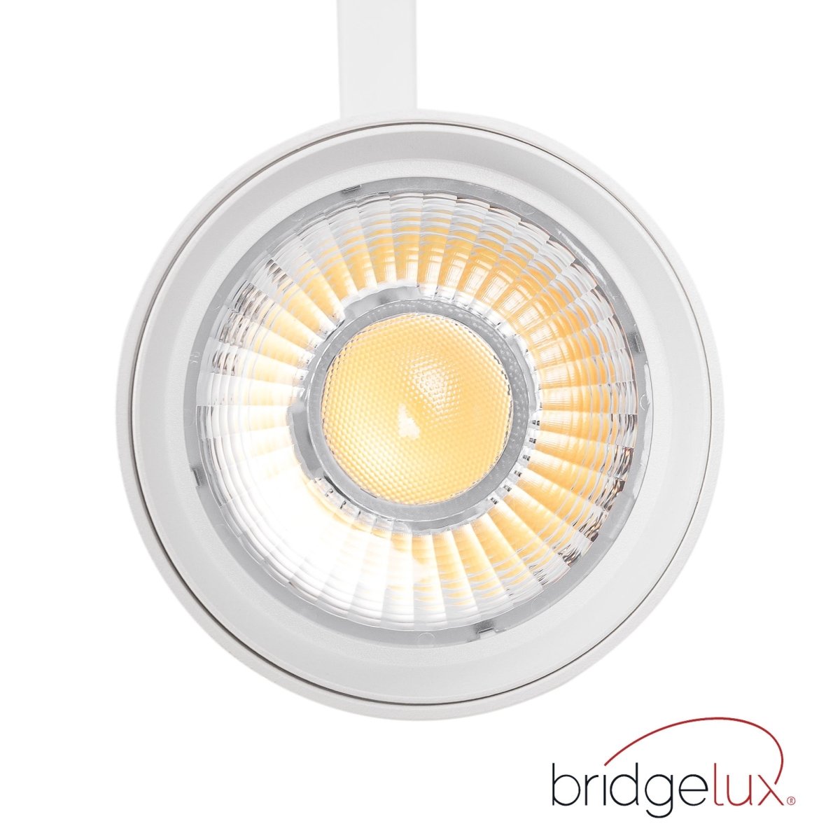 Proyector LED para carril trifásico - Potencia ajustable: 30W/ 34W/ 38W - CCT - CRI 90 - Barcelona Led-